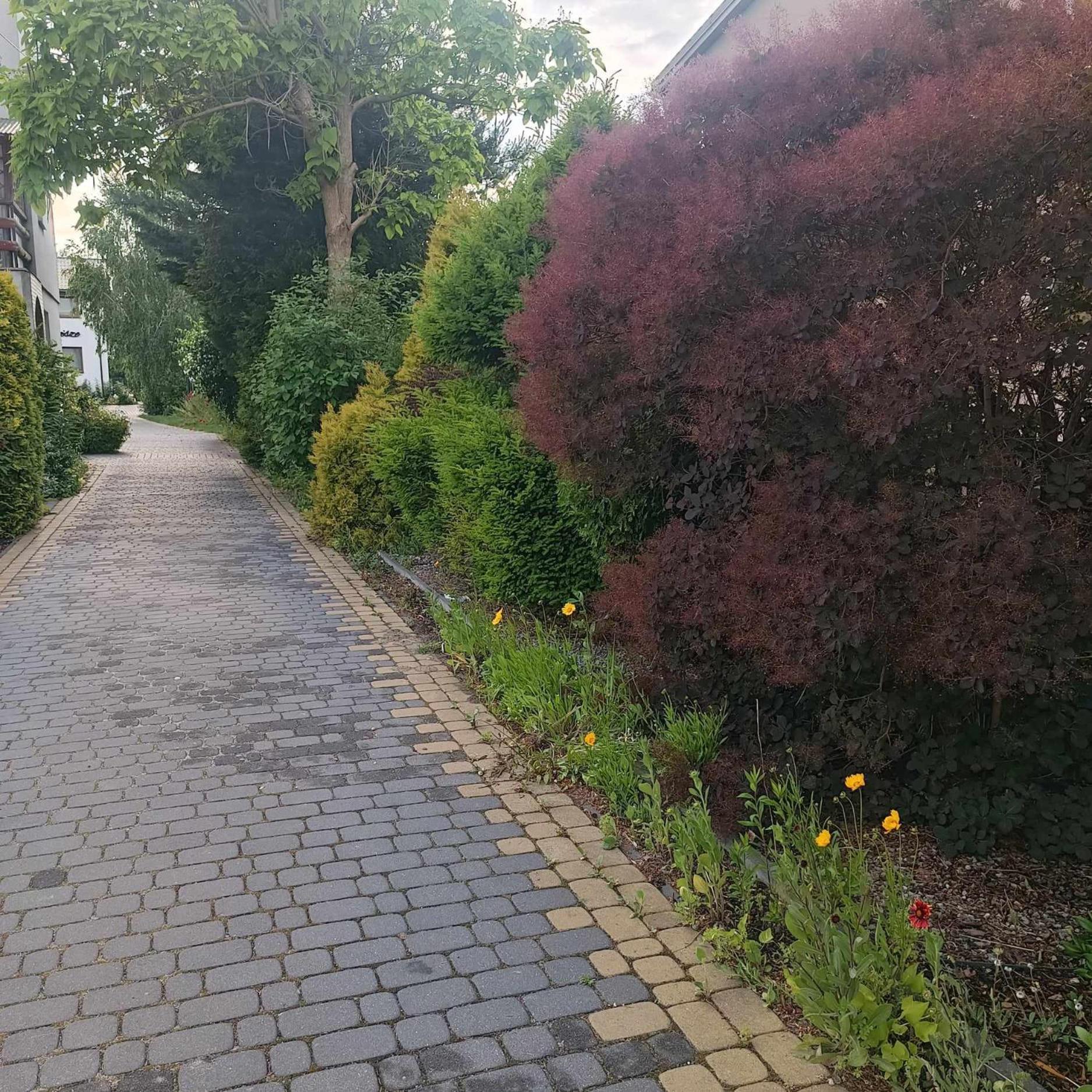 Swierkowe Zacisze Hotel Firlej Exterior foto